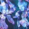 Decor Iris 2 painting by Sue Graham